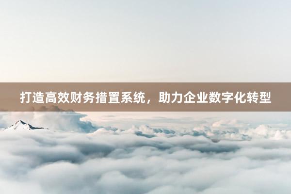 打造高效财务措置系统，助力企业数字化转型